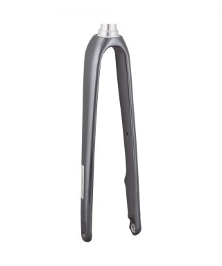 Trek 2021 Domane AL 5 700c Disc Rigid Forks 355mm, 48mm Lithium Grey/Trek Black