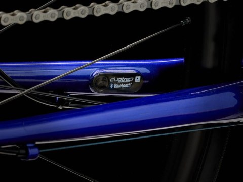 Trek Domane AL 2 Disc Hex Blue 2023 54