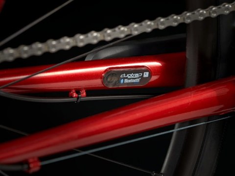 Trek Domane AL 5 Disc Lithium Grey to Crimson Fade 2023 58