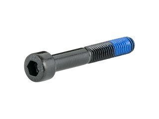 Trek Fetch+ 2 Kickstand Extension Bolt M8 x 55mm Czarny 2024