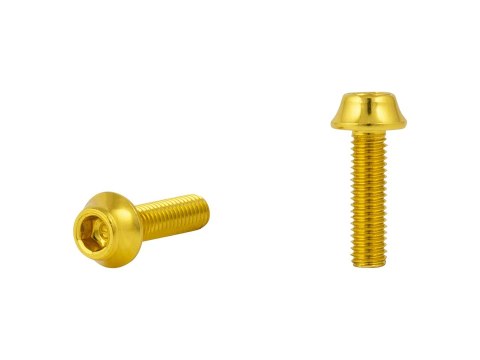 Trek Anodized Fasteners M5 x 16mm Złoty 2024