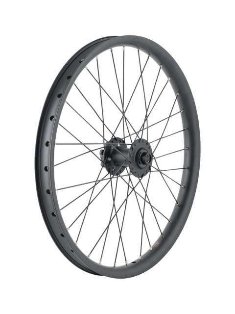 Trek Cargo Bike 6-Bolt Disc 20" Wheel Front Czarny 2024