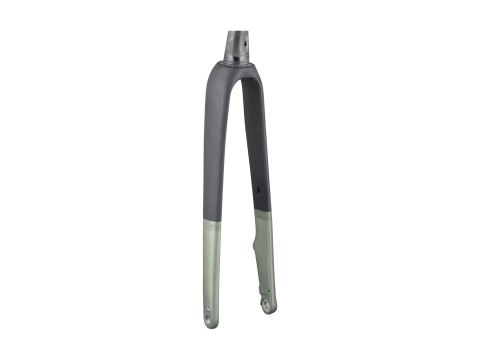 Fork Rigid Domane AL5 48R Lichen Green