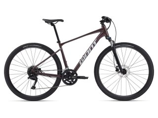 Giant Roam 2 Disc M Charcoal Plum