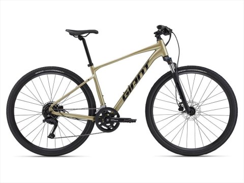 Giant Roam 2 Disc Bay Leaf 2024 L