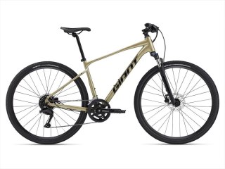 Giant Roam 2 Disc Bay Leaf 2024 (XL)