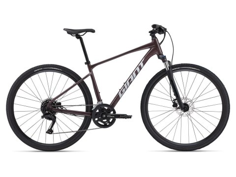 Giant Roam 2 Disc Charcoal Plum 2024 L