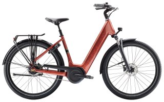 Trek District+ 4 LS Coaster XL Pennyflake 400 2025