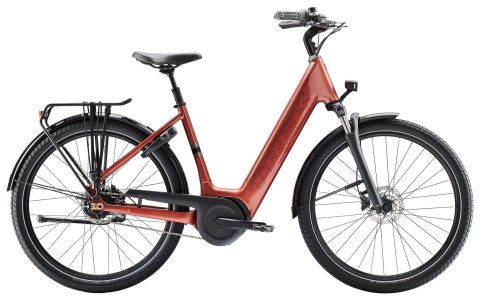 Trek District+ 4 LS Coaster XL Pennyflake 800 2025