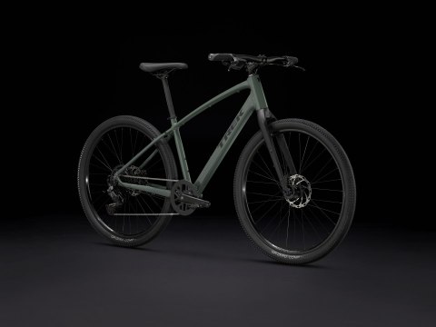 Trek Dual Sport 2 SO L Keswick 2025