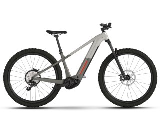 Trek Powerfly+ 6 EU L 29 Lunar Silver/Mercury 2025