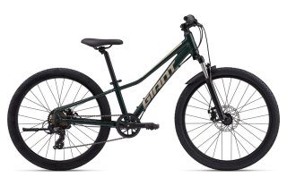 Giant Talon 24 Disc Trekking Green One Size