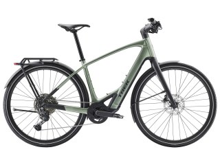 Trek FX+ 7 Lichen Green Gloss 2026 (L)