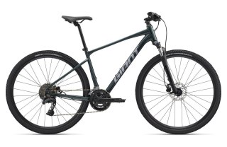 Giant Roam 2 Asphalt Green XL