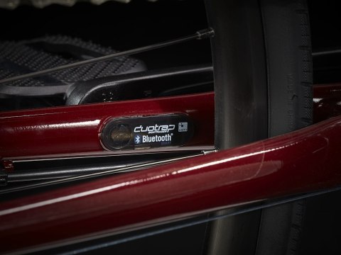 Trek FX 3 Disc Viper Red to Cobra Blood Fade 2023 (S)