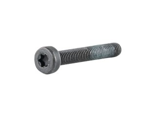 Fastener TQ HPR Display Screw M3 x 20mm Black Each