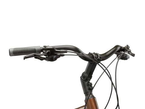 Kross Trans 5.0 Męski Brązowy Srebrny Połysk 2026 (M)