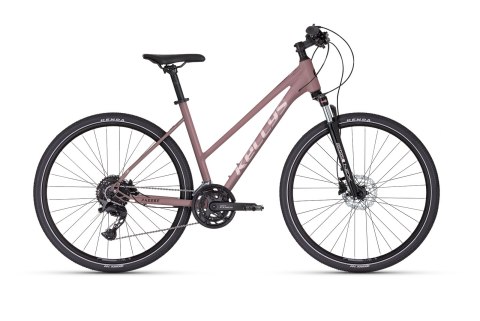 Kellys Pheebe 30 Rose Gold 2026 (S)