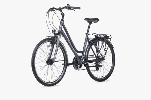 Unibike Vision Damski Szary 2026 (17")