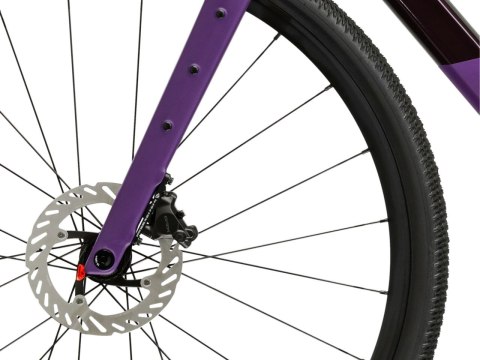 Kross Esker Adv 1.0 Fioletowy Matowy 2026 (M)