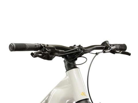 Kross Influx Hybrid 1.0 720Wh Szary Złoty Połysk 2026 (XS)