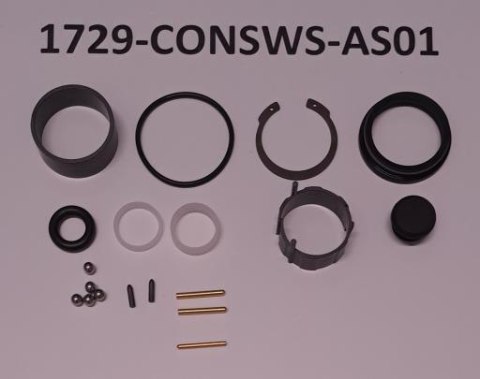 Sztyca Service Kit For Contact Switch SL MY26